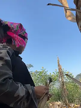 Phayphay77 online show from 15, 11, 2025