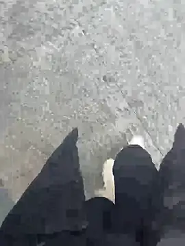 xiao-mo520 online show from 3, 3, 2026