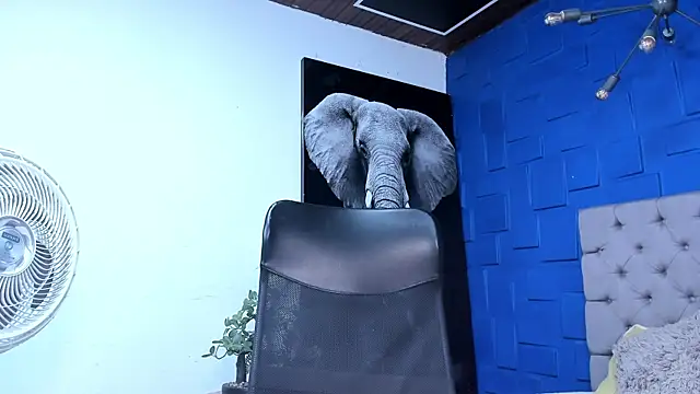 andres-clark92 online show from 2, 11, 2025