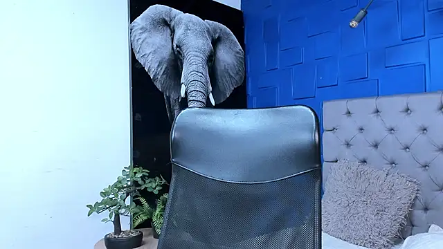 andres-clark92 online show from 27, 10, 2025