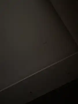 ALANNFERRER online show from 1, 11, 2025