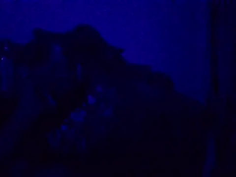 harish x online show from 20, 4, 2026