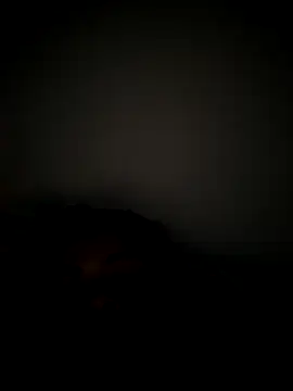 daliataleboficiall online show from 18, 11, 2025