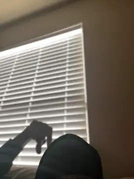 Dolla-Billlz online show from 15, 3, 2026