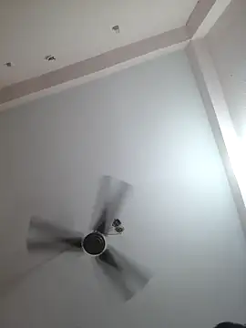 00USER online show from 29, 10, 2025