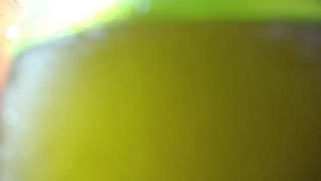 bloom bbc online show from 24, 10, 2025