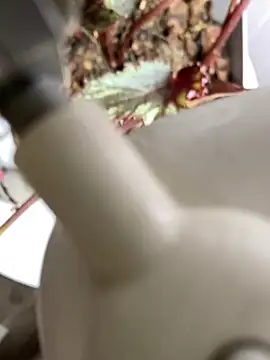 Jonny Agatha online show from 3, 3, 2026