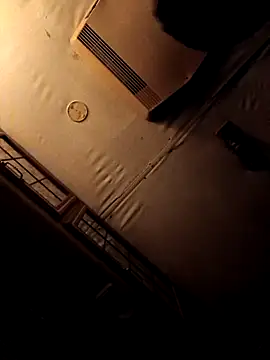 ShawnandDani7074 online show from 4, 2, 2026