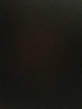 ShawnandDani7074 online show from 4, 6, 2026