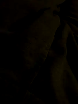 Snapshot of MuzzyFacing chatting on 4, 12, 2025 MuzzyFacing online show from 4, 12, 2025