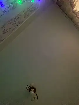 missevacrystal online show from 7, 11, 2025