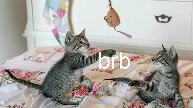 Pink girl0n online show from 21, 4, 2026