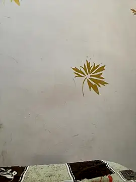 Snapshot of modelnishu chatting on 17, 10, 2025 modelnishu online show from 17, 10, 2025