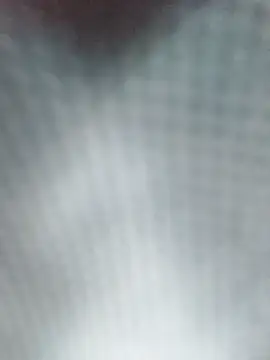 Reina Cummings online show from 5, 4, 2026