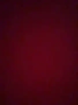 Snapshot of NIQUEILLA8 chatting on 31, 5, 2026 NIQUEILLA8 online show from 31, 5, 2026