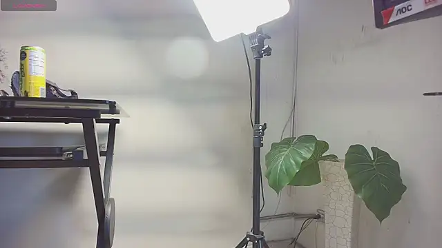 sakuramoss online show from 24, 10, 2025