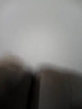 raposinharosada online show from 8, 1, 2026