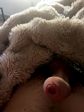 Zoro404040 online show from 4, 11, 2025