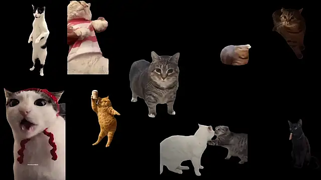 ch0wn m online show from 3, 10, 2025
