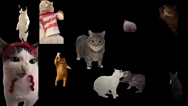 ch0wn m online show from 19, 9, 2025