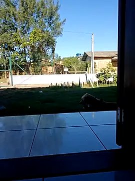 cicinha3657 online show from 9, 4, 2026