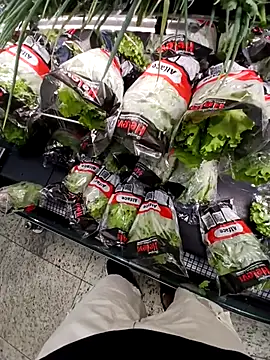 cicinha3657 online show from 24, 4, 2026