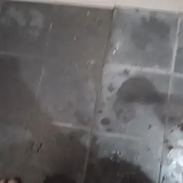 femboyslqueen online show from 17, 11, 2025