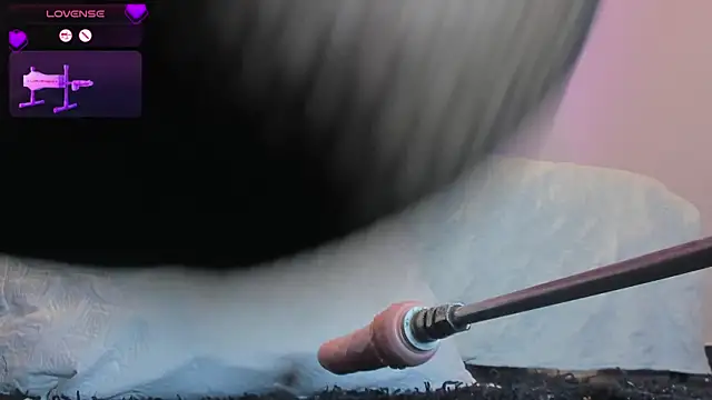  Kendall 19 online show from 31, 3, 2026