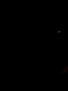 Lujor online show from 28, 11, 2025