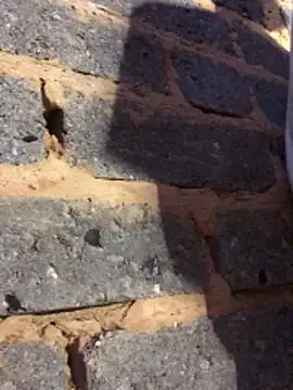 cuminsidebby online show from 14, 2, 2026