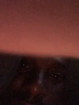 cuminsidebby online show from 17, 4, 2026