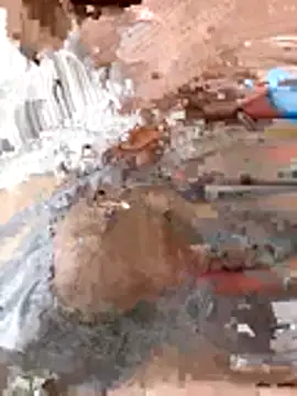 tw swag online show from 6, 1, 2026