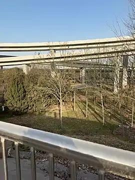 sonwmelt1 online show from 15, 1, 2026