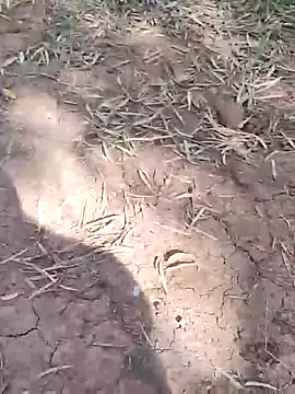 sonotutto online show from 13, 10, 2025