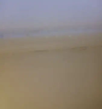 ramesh65 online show from 14, 1, 2026