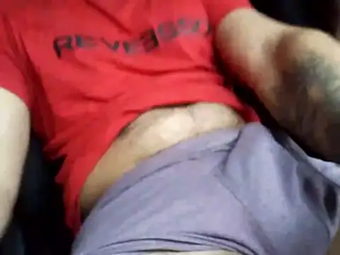 Siegfri3d   online show from 21, 4, 2026