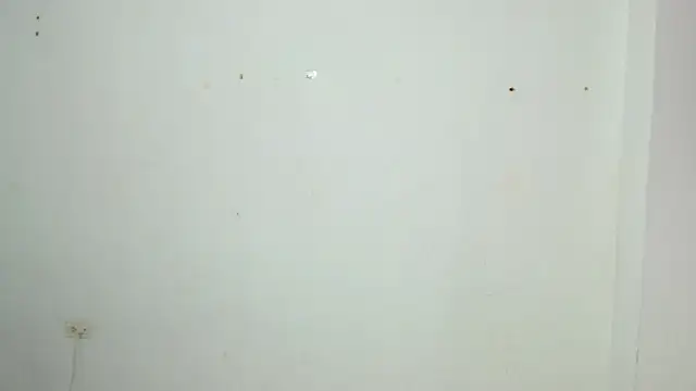 Alex mojica online show from 7, 1, 2026