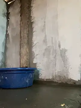 Sunny lotus online show from 16, 4, 2026