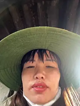 Sunny lotus online show from 15, 11, 2025