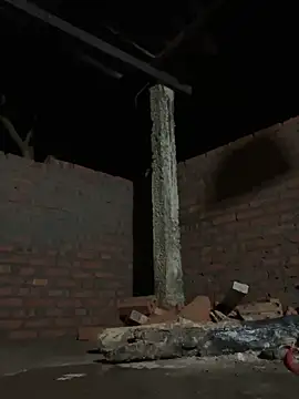 Sunny lotus online show from 16, 11, 2025