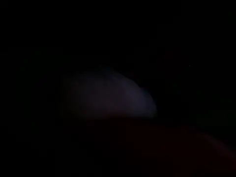 astridcollinsvip online show from 25, 10, 2025