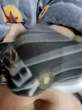 Boyshow88 online show from 26, 11, 2025