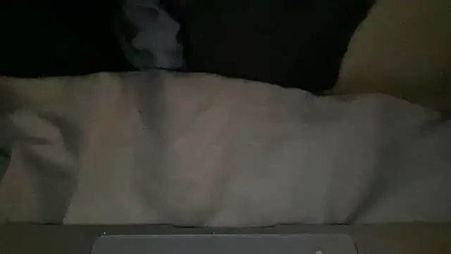 peterpapiNL online show from 4, 3, 2026