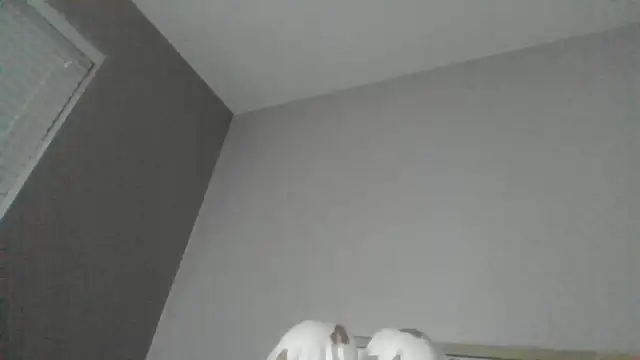 Snapshot of SexyKatiex chatting on 2, 12, 2025 SexyKatiex online show from 2, 12, 2025