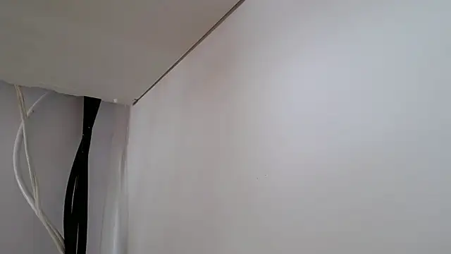 Stein  online show from 15, 11, 2025