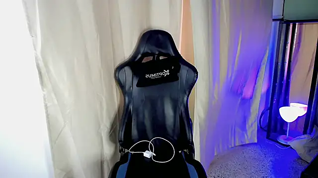 Stein  online show from 9, 11, 2025