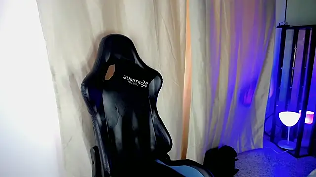 Stein  online show from 8, 11, 2025