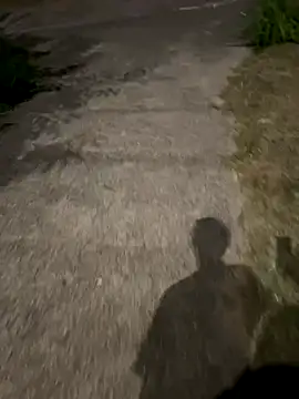 Foxfoxfox4 online show from 5, 10, 2025