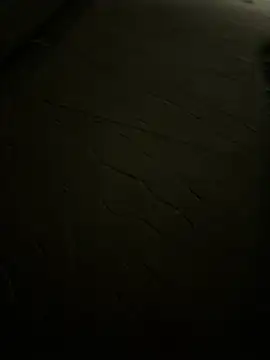 Foxfoxfox4 online show from 27, 3, 2026