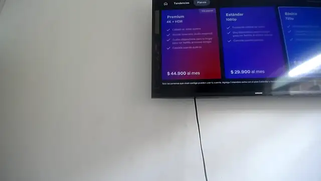 Foxy Lovex online show from 4, 4, 2026